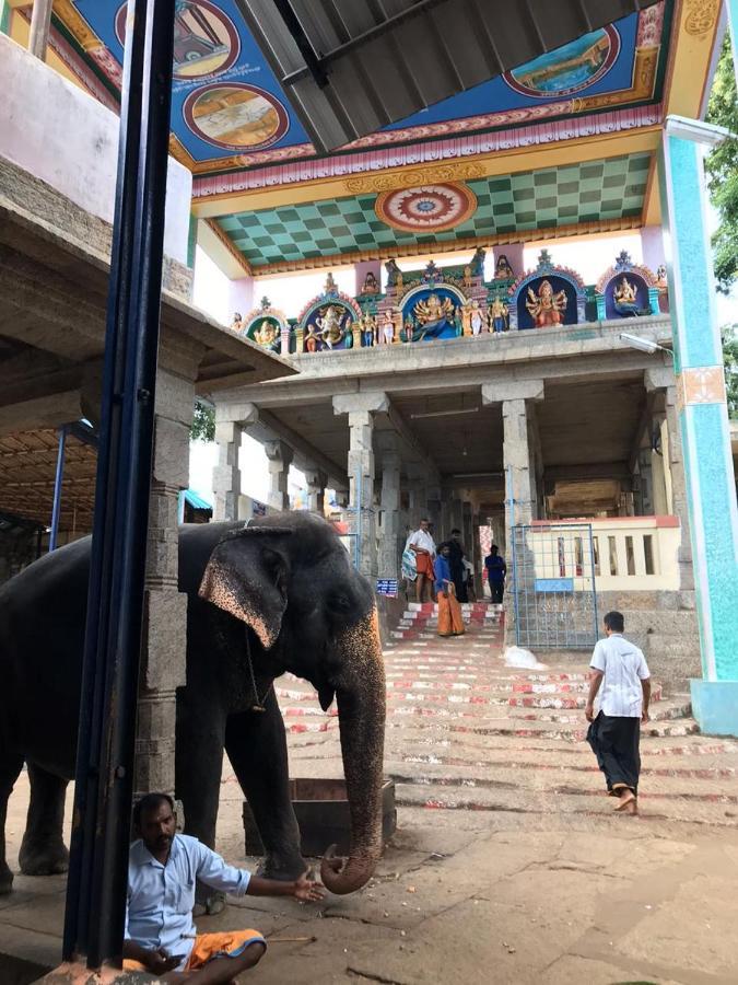 Chettinadu Mansion - An Authentic Heritage Palace Country house Kanadukattan