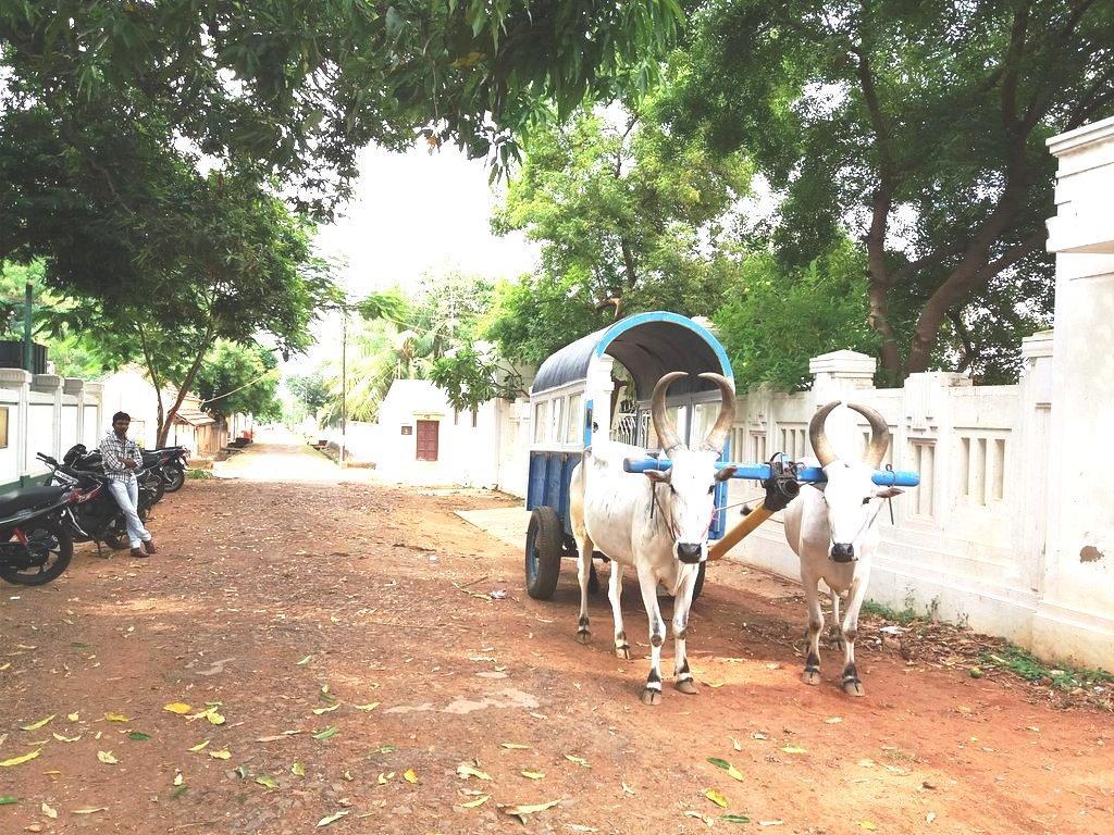 Country house Chettinadu Mansion - An Authentic Heritage Palace Kanadukattan